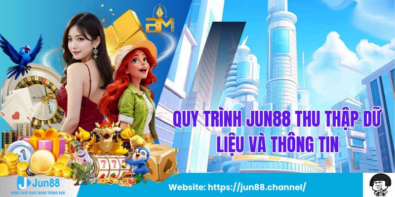 Quy Trình Jun88 Thu Thập Dữ Liệu và Thông Tin